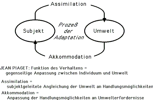 Assimilation und Akkomodation