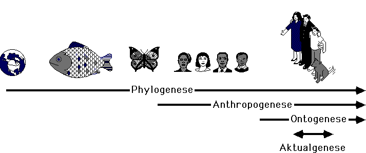 phylogenese anthropogenese ontogenese aktualgenese